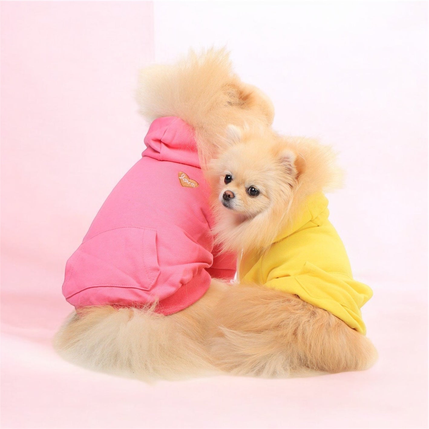 Love Heart Hoodie Yellow bearsupreme