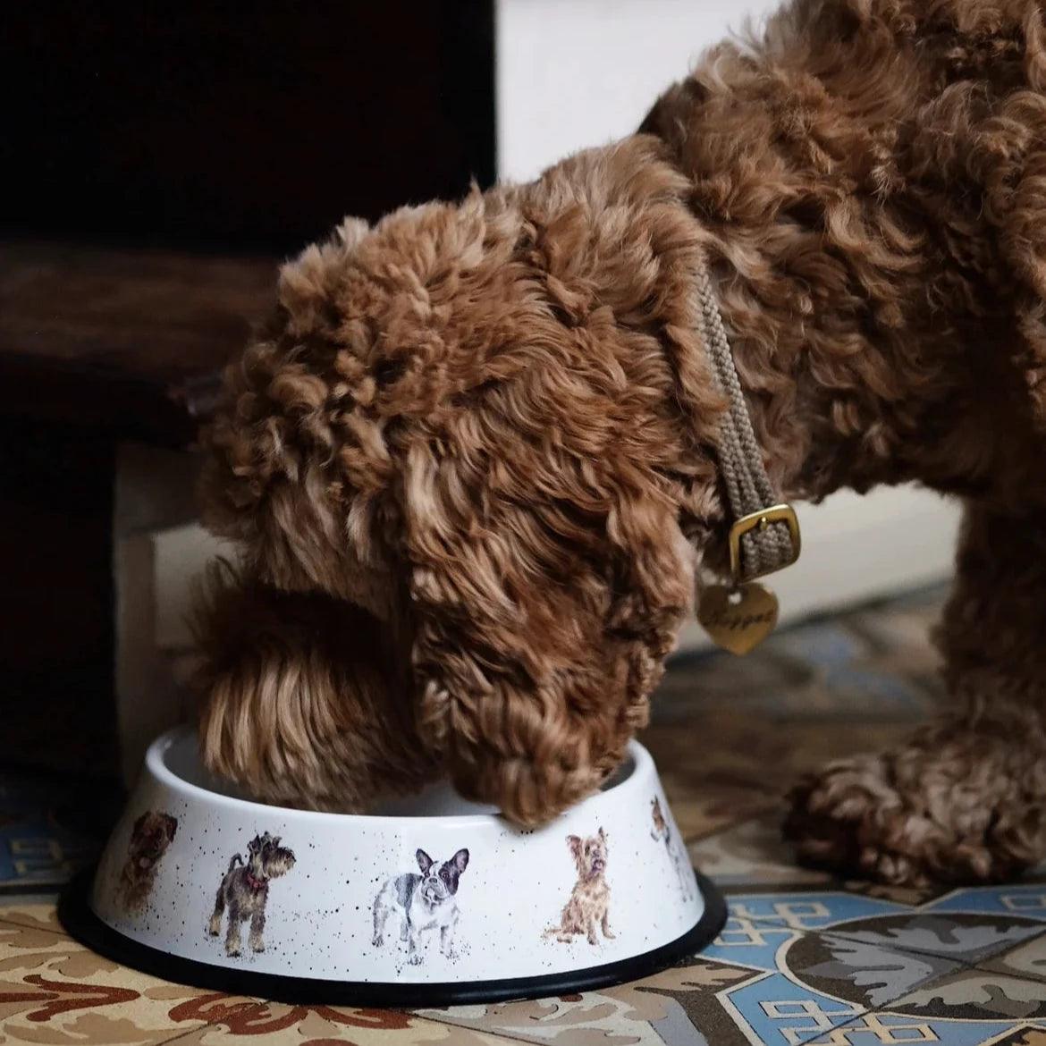 The Pet Shop 'Happy Dog' Bowl - bearsupreme