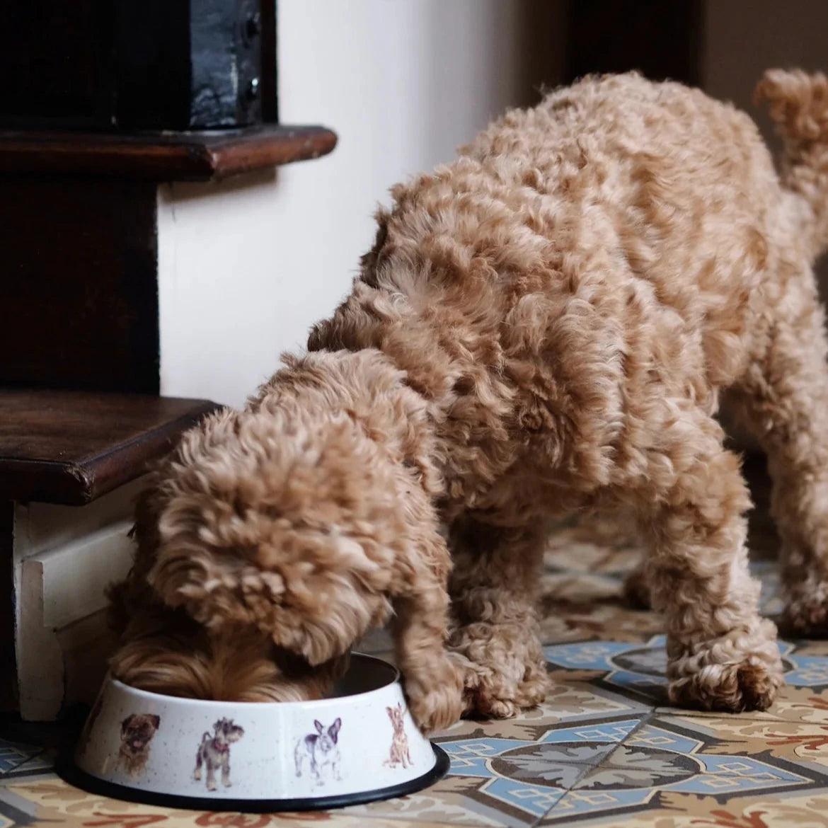 The Pet Shop 'Happy Dog' Bowl - bearsupreme