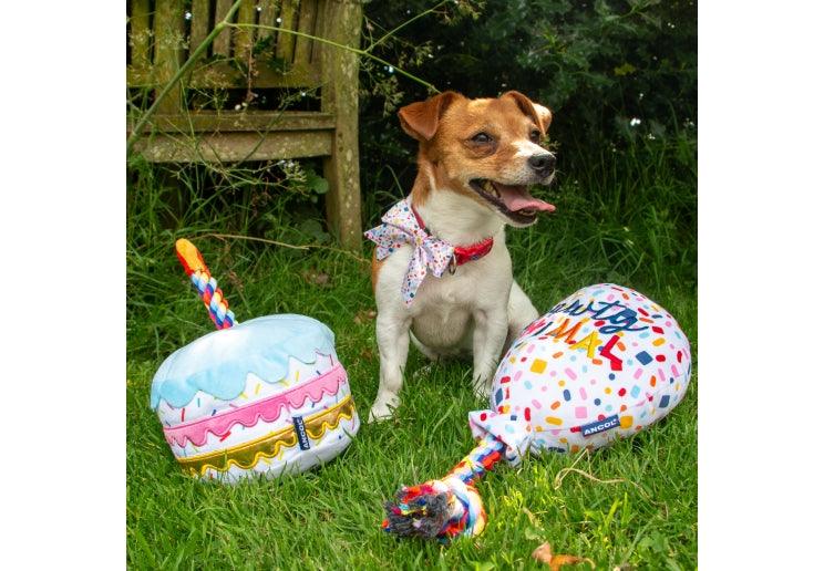 Pawty Animal Tug Balloon Birthday Toy - bearsupreme