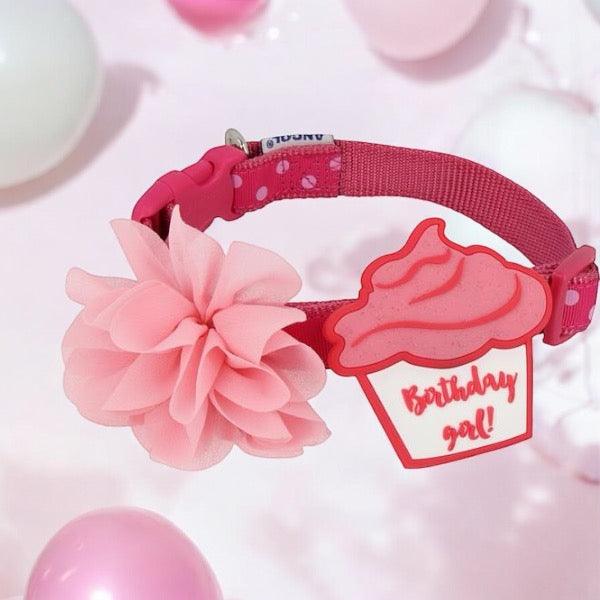 It's My Birthday Pink Collar Accessories - bearsupreme