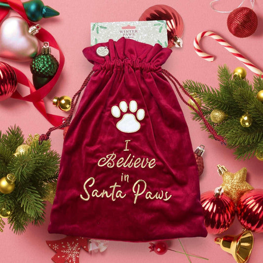 I Believe in Santa Paws Sack - bearsupreme