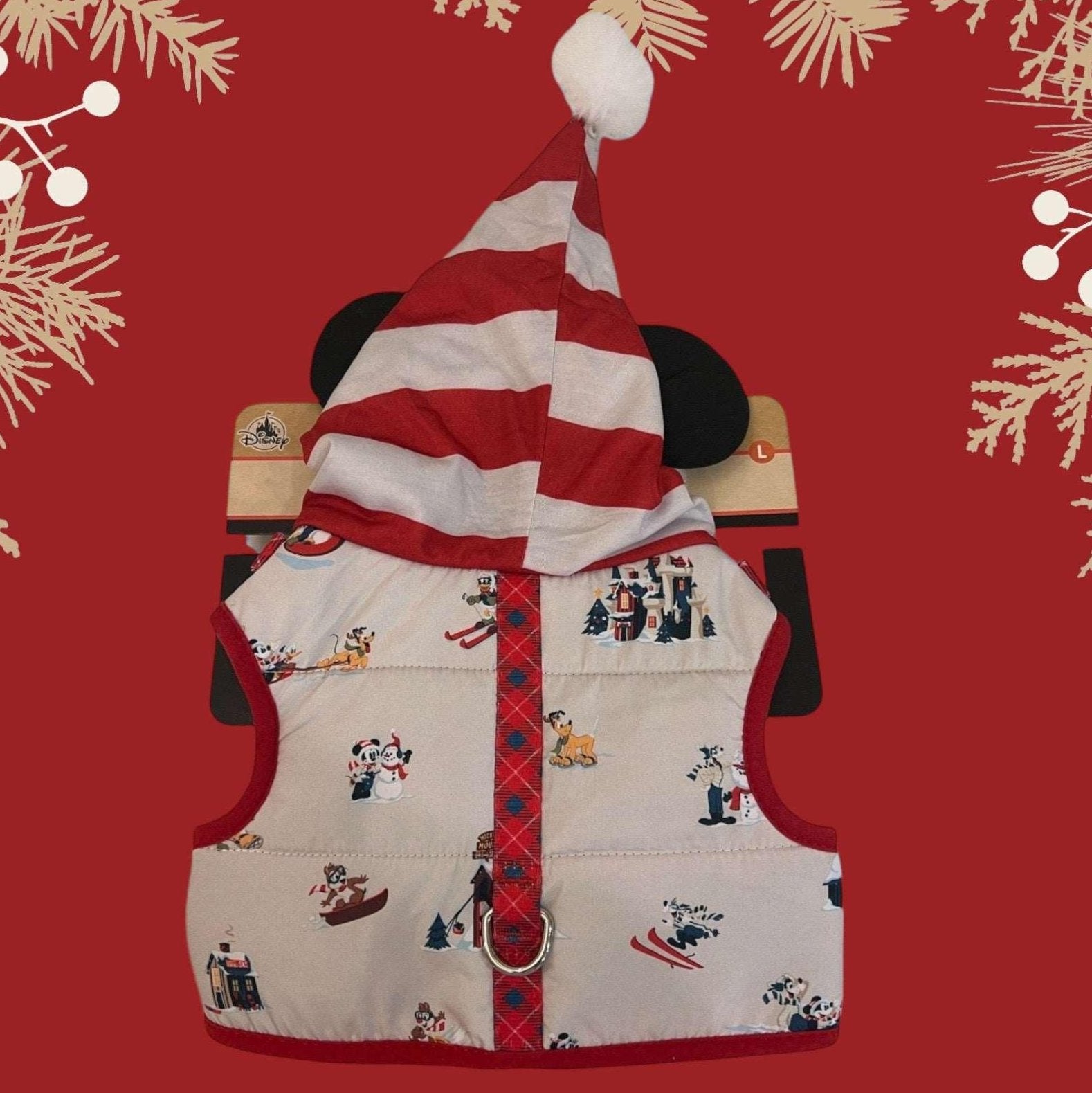 Disney Winter Harness & Hoodie - bearsupreme