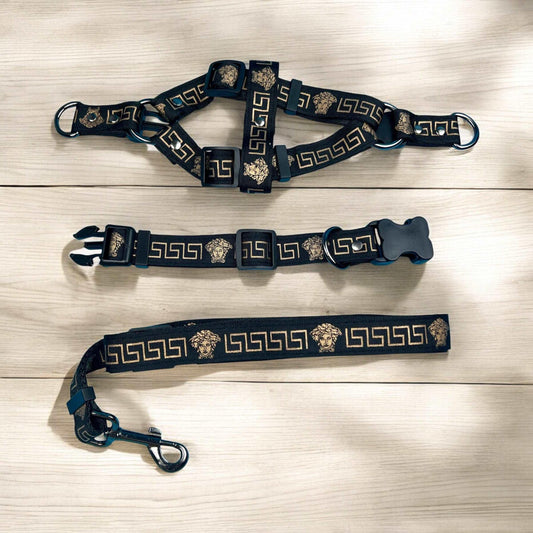 Fursace Medusa Harness & Lead Set - bearsupreme