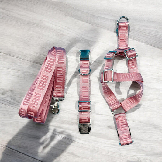 Miu Miu Harness & Lead Set - bearsupreme