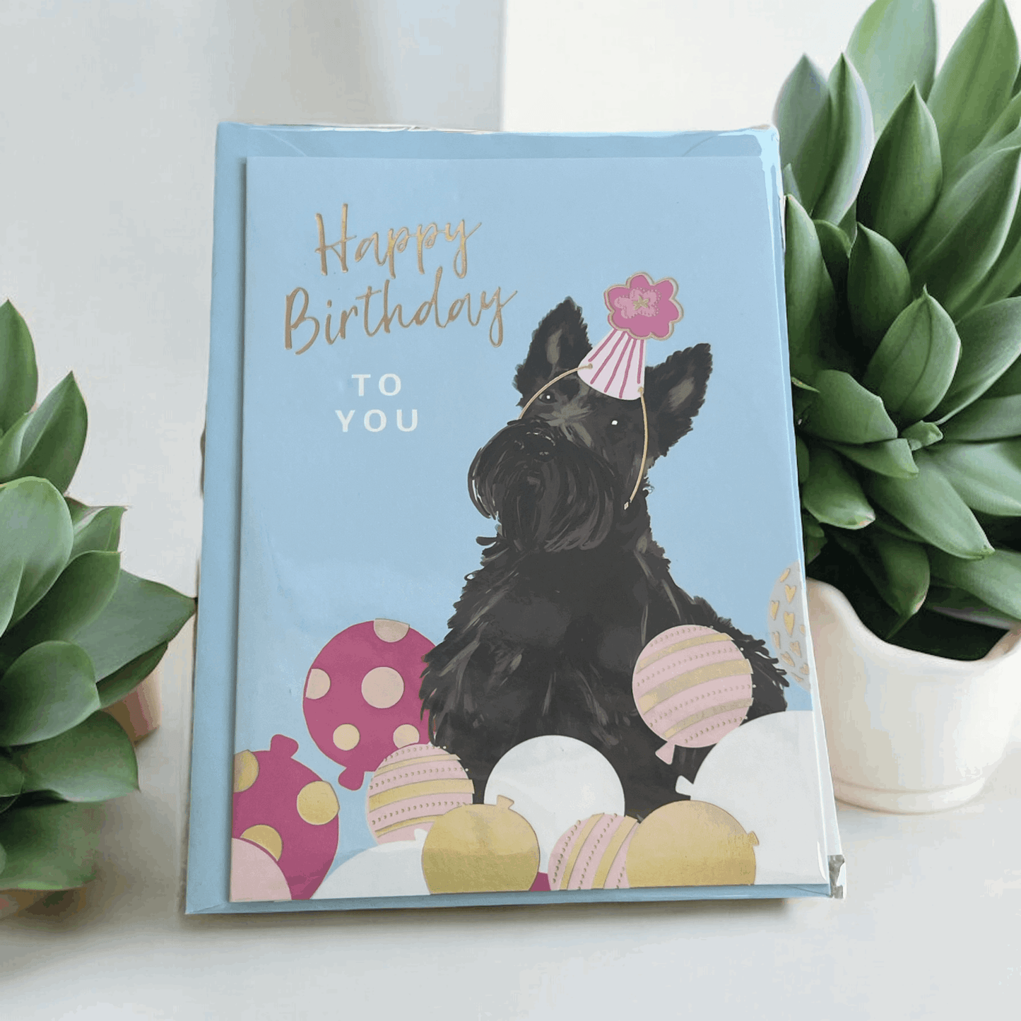 Basic Barkday bundle bearsupreme