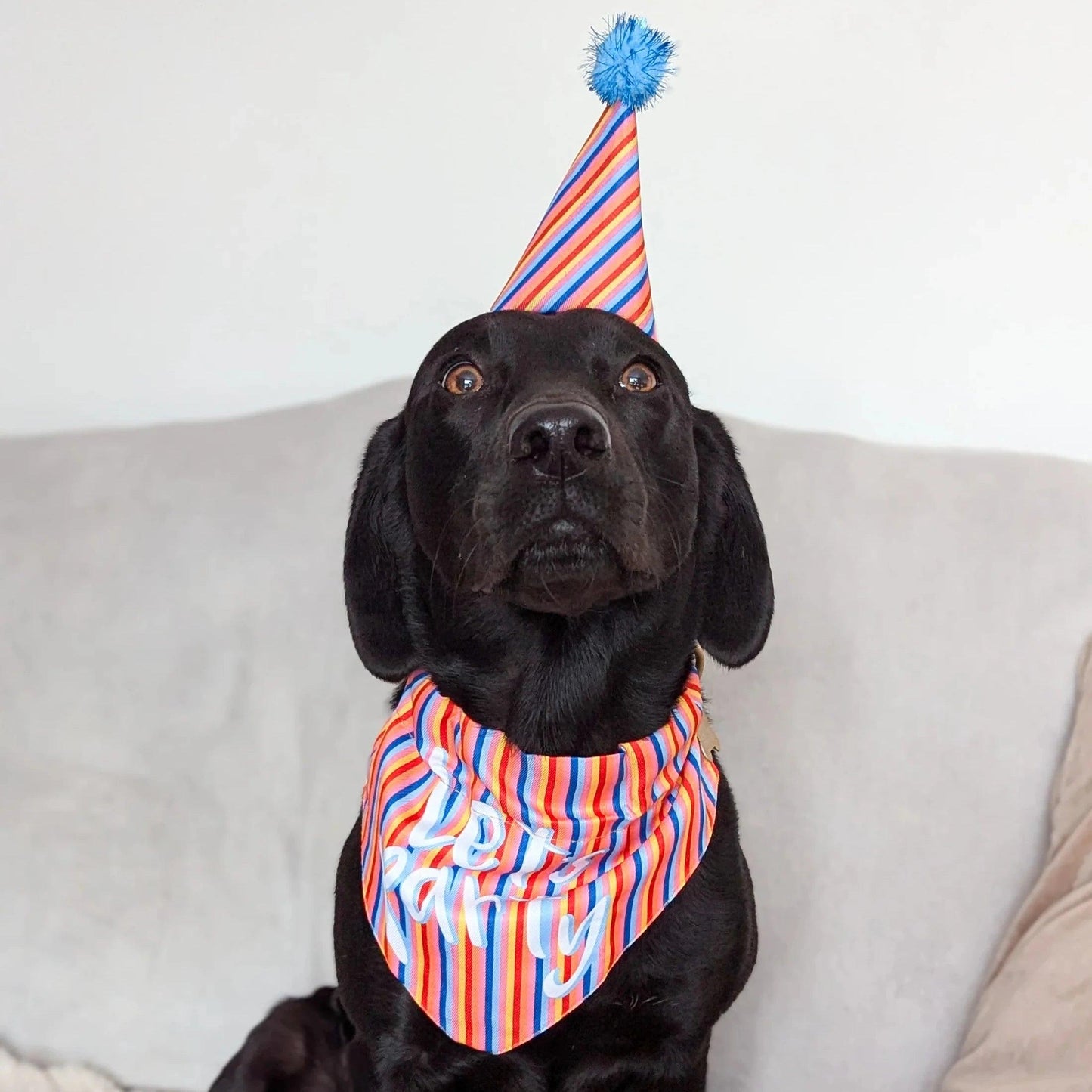 Pawty Time Striped Hat & Bandana Set - bearsupreme