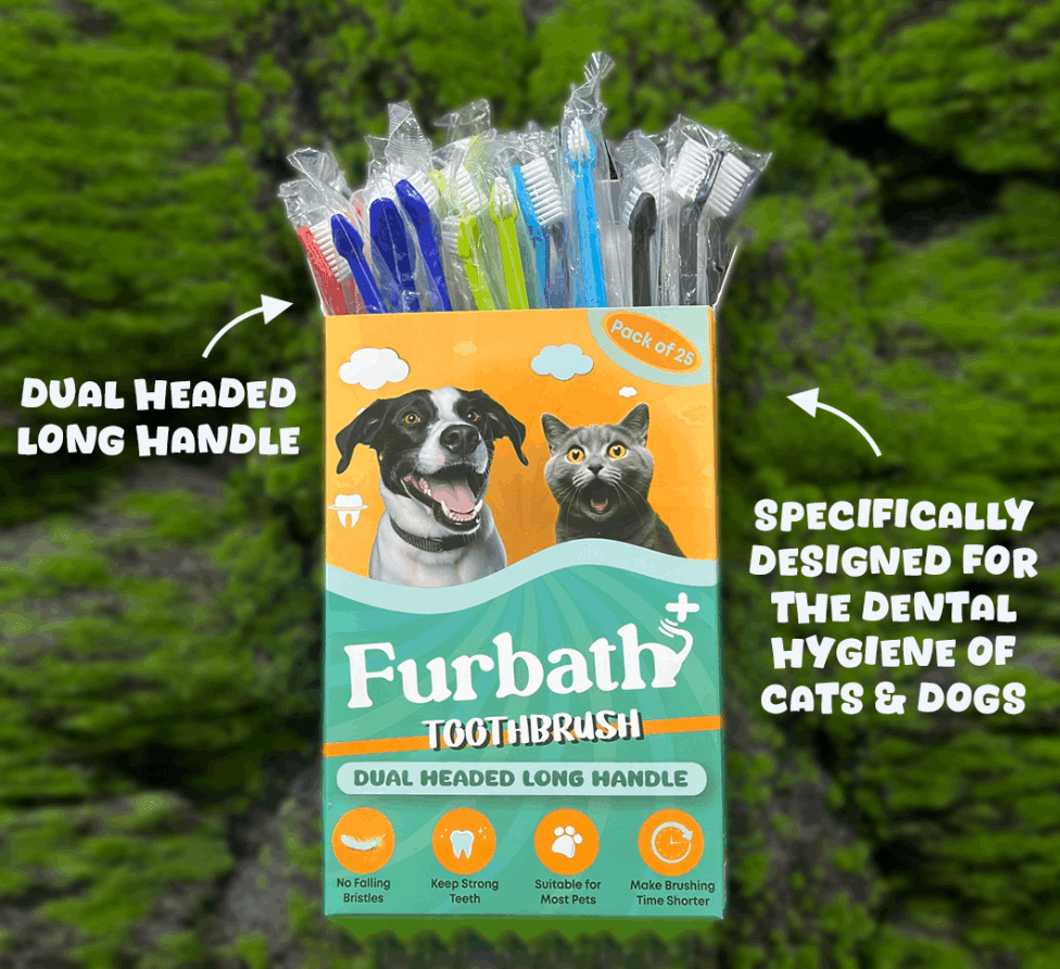 Furbath Disposable Tooth Brush Multicolours  25 pieces